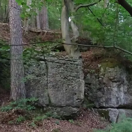 Zum Berg Prázdninový dům *