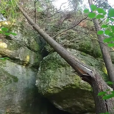 Zum Berg Prázdninový dům Neuhaus an der Pegnitz