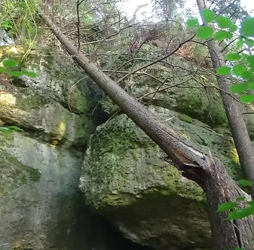 Zum Berg Dom wakacyjny Neuhaus an der Pegnitz